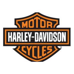 Instant Download Harley Davidson Manuals