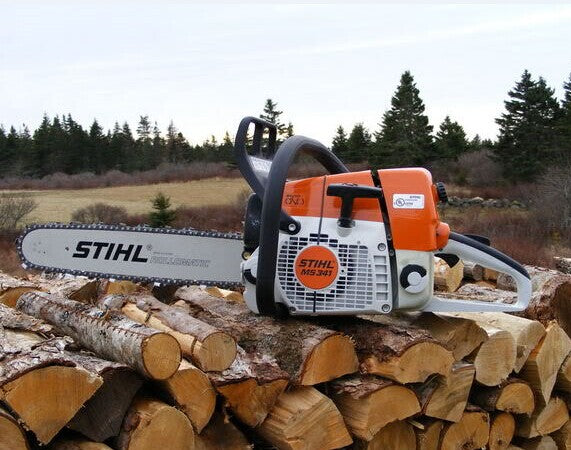 Stihl MS 341, MS 361, MS 361 C Service Repair Manual Download – Xperts  Manual